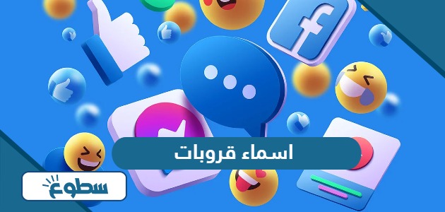 اسماء قروبات للواتس والفيس والسناب