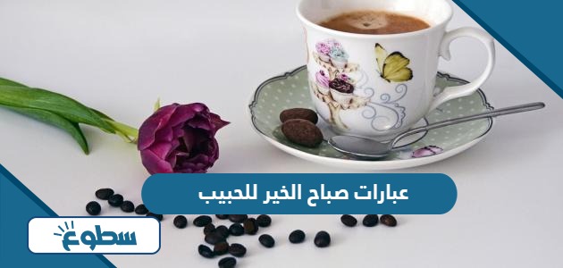 عبارات صباح الخير للحبيب