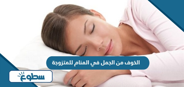 تفسير رؤية الخوف من الجمل في المنام للمتزوجة