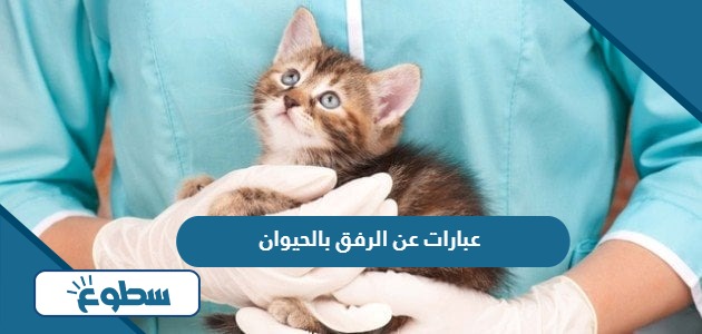 عبارات عن الرفق بالحيوان