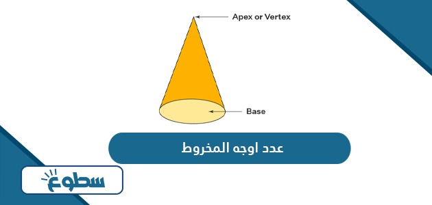 كم عدد اوجه المخروط