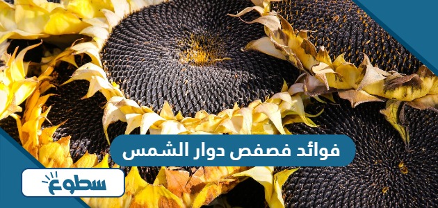 فوائد فصفص دوار الشمس