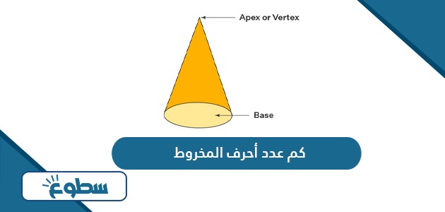 كم عدد أحرف المخروط