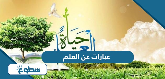 عبارات عن أهمية العلم