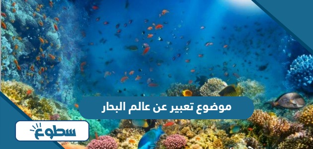 موضوع تعبير عن عالم البحار