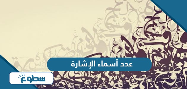 كم عدد أسماء الإشارة