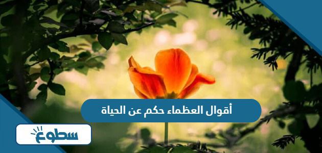 أقوال العظماء حكم عن الحياة