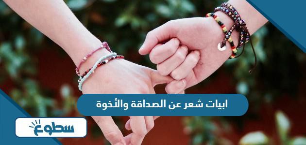 ابيات شعر عن الصداقة والأخوة