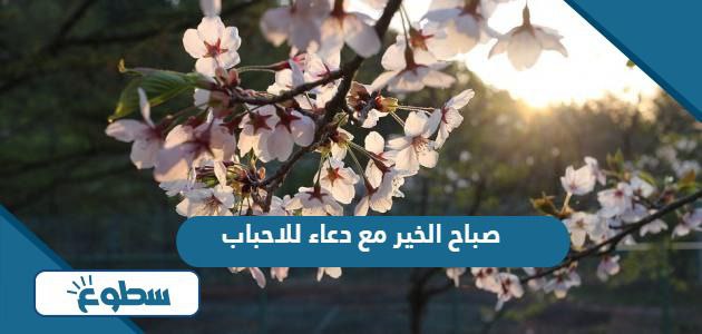 عبارات صباح الخير مع دعاء للاحباب