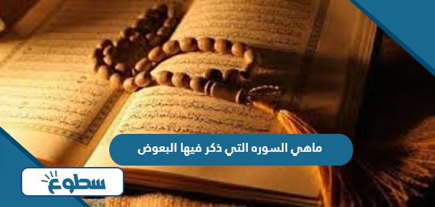 ماهي السوره التي ذكر فيها البعوض