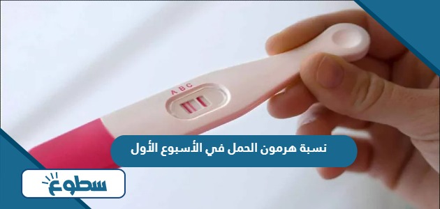 نسبة هرمون الحمل في الأسبوع الأول