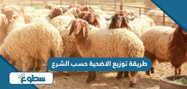 طريقة توزيع الاضحية حسب الشرع