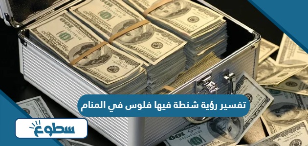 تفسير رؤية شنطة فيها فلوس في المنام