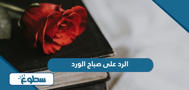 الرد على صباح الورد ، اذا احد قالي صباح الورد وش ارد